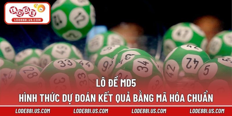 Lô Đề MD5 - Hình Thức Dự Đoán Kết Quả Bằng Mã Hóa Chuẩn